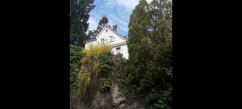 Brahms House BB (1) (1)