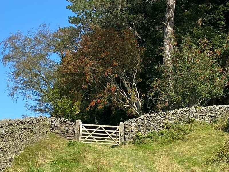 Leading into wooded area