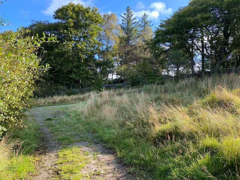 Path before Long Preston Moor